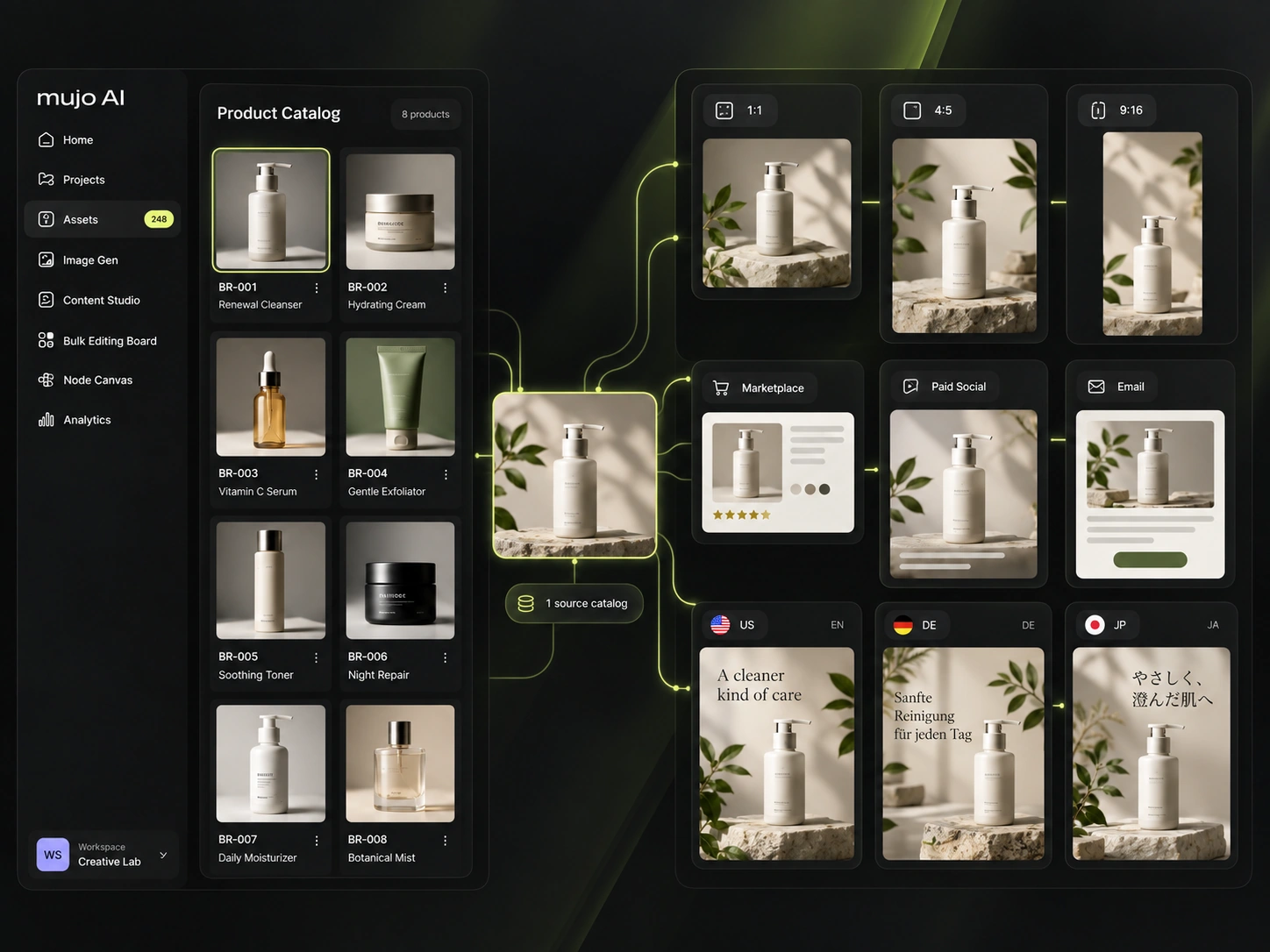 Catalogue production outputs prepared for several channels