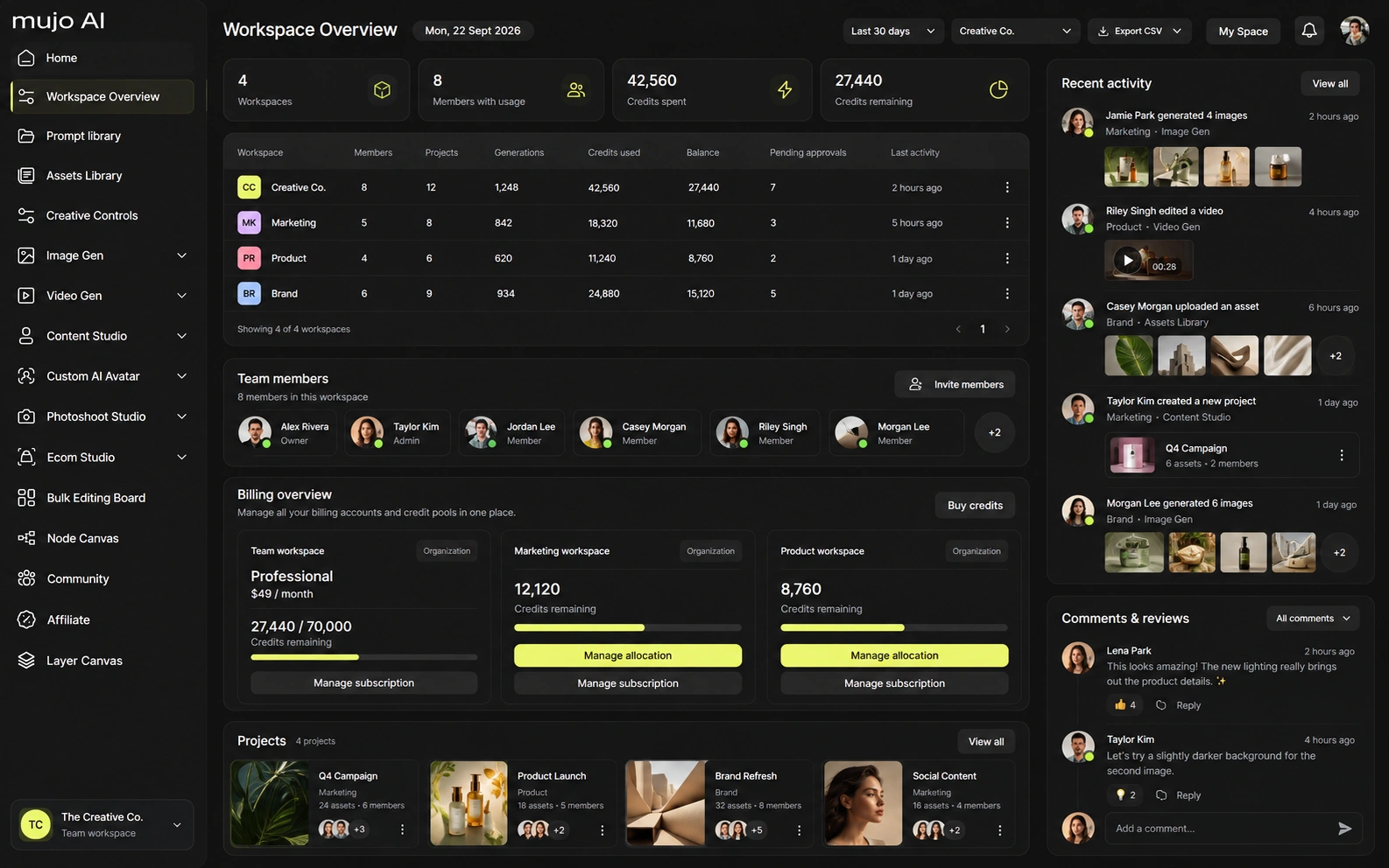 A shared Mujo team workspace with members, model access and usage limits