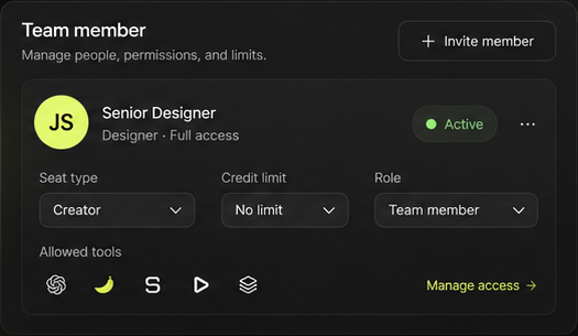 Team member settings with seat type, role and permissions